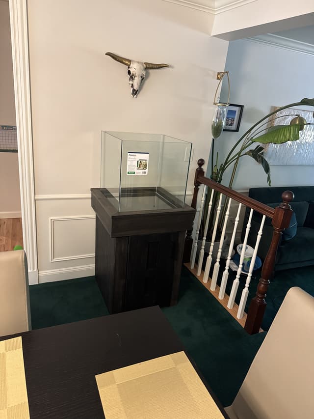 Gallery 25
